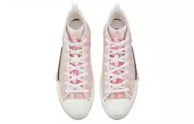 DIOR B23