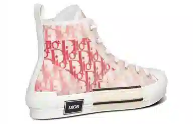 DIOR B23