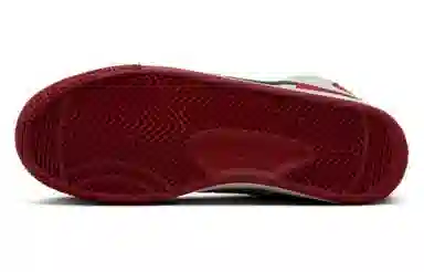 Nike Terminator High "Tuskegee Institute"