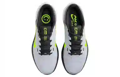 Nike Air Winflo 10 Grey