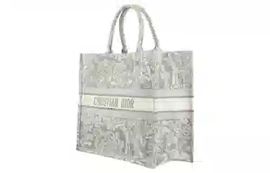 DIOR BookTote Tote
