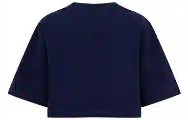 Tommy Hilfiger T