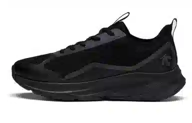 DESCENTE
