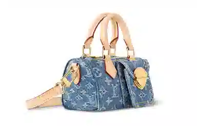 LOUIS VUITTON Speedy