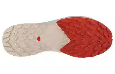 SALOMON Sense Ride 5