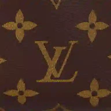 LOUIS VUITTON Side Trunk PM