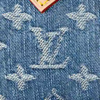 LOUIS VUITTON Speedy