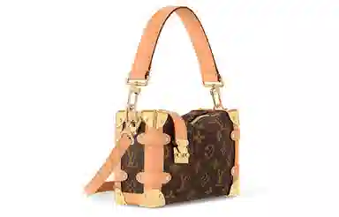 LOUIS VUITTON Side Trunk PM