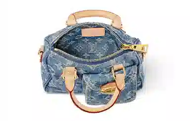 LOUIS VUITTON Speedy