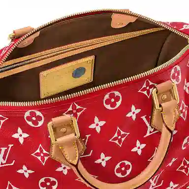 LOUIS VUITTON Speedy 40