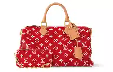 LOUIS VUITTON Speedy 40