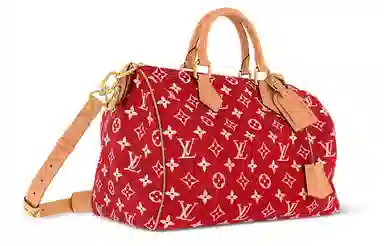 LOUIS VUITTON Speedy 40