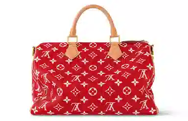 LOUIS VUITTON Speedy 40