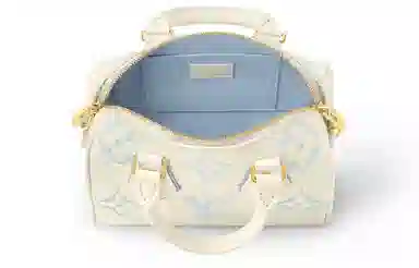 LOUIS VUITTON Speedy 20