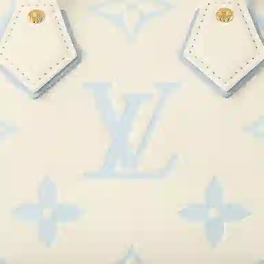 LOUIS VUITTON Speedy 20