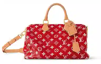LOUIS VUITTON Speedy 40