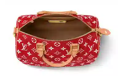 LOUIS VUITTON Speedy 40