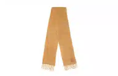 LOEWE Scarf
