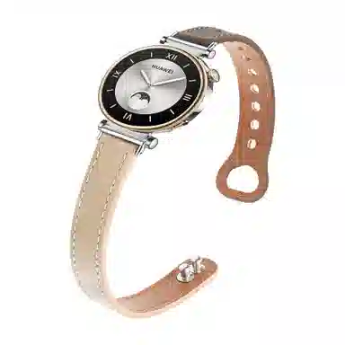 GT4GT3watch4proGT2magic2watchgt