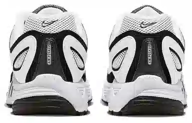 Nike Air Pegasus 2005