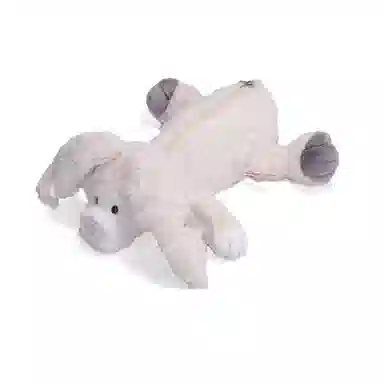 NICI