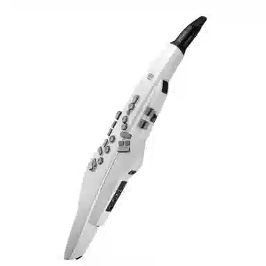Roland AE20AE-20W Aerophone