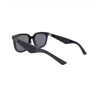 DIOR B27