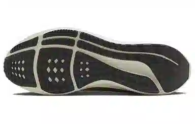 Nike Air Zoom Pegasus 40 Black