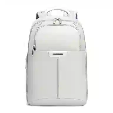 Samsonite Backpack Light Grey
