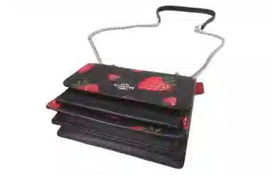 COACH Klare 18 Strawberry Print