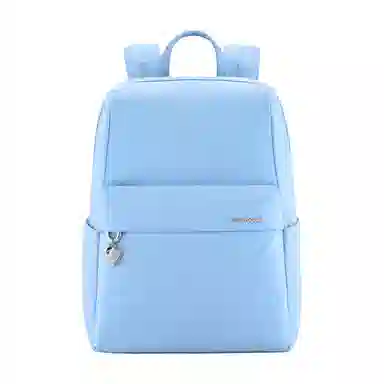 Samsonite Backpack Blue