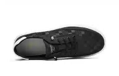 HLA 2024