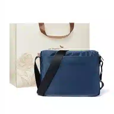 红蜻蜓 时尚休闲拉链开合 织物 斜挎包单肩包 常规 男款 蓝色