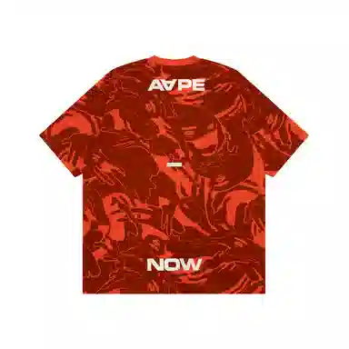 Aape T