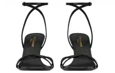 Saint Laurent Cassandre