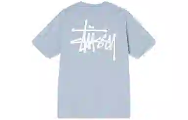 Stussy SS21 T