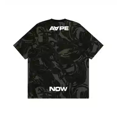 Aape T