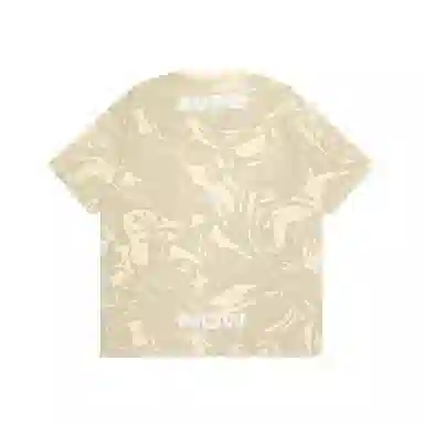 Aape T