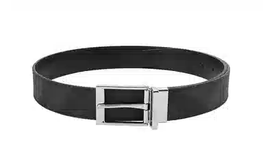Burberry Classic Belt