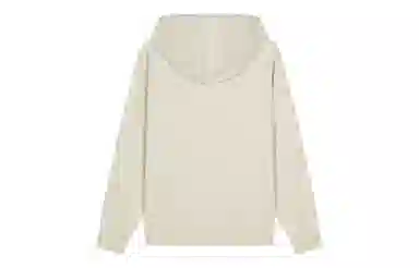 Champion Basic Hoodie