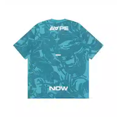 Aape T