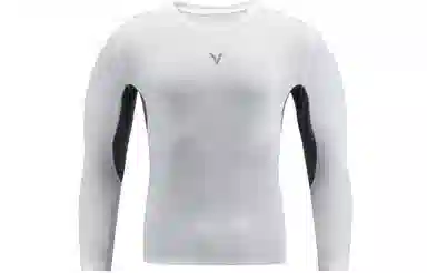 VEIDOORN LOGO