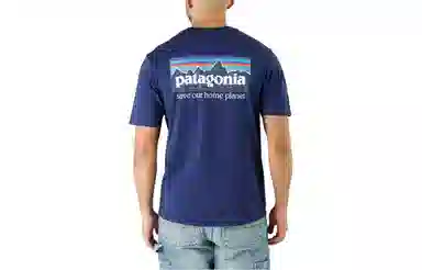 patagonia P-6 Mission Organic T-shirt LogoT