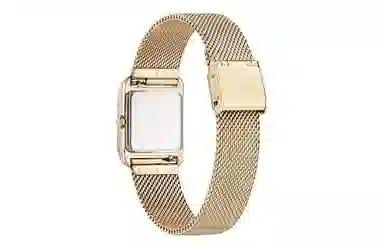 CITIZEN 22mm EW5593-64D