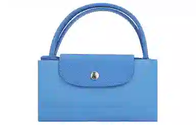 LONGCHAMP Le Pliage Green