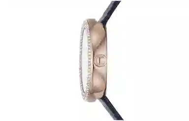 EMPORIO ARMANI AR11434