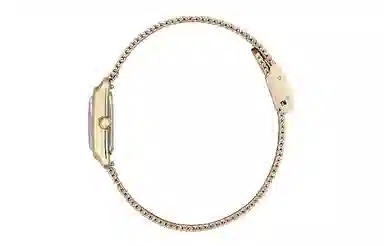 CITIZEN 22mm EW5593-64D