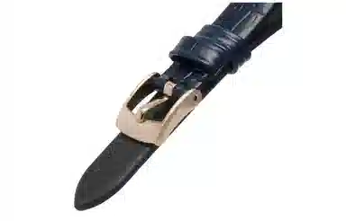 EMPORIO ARMANI AR11434