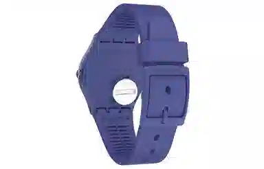 SWATCH Gent 34mm SO28N102