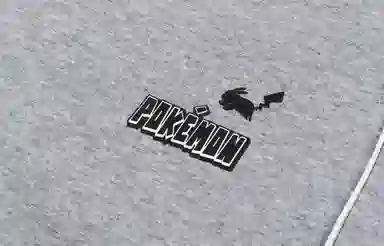 VEIDOORN x POKEMON